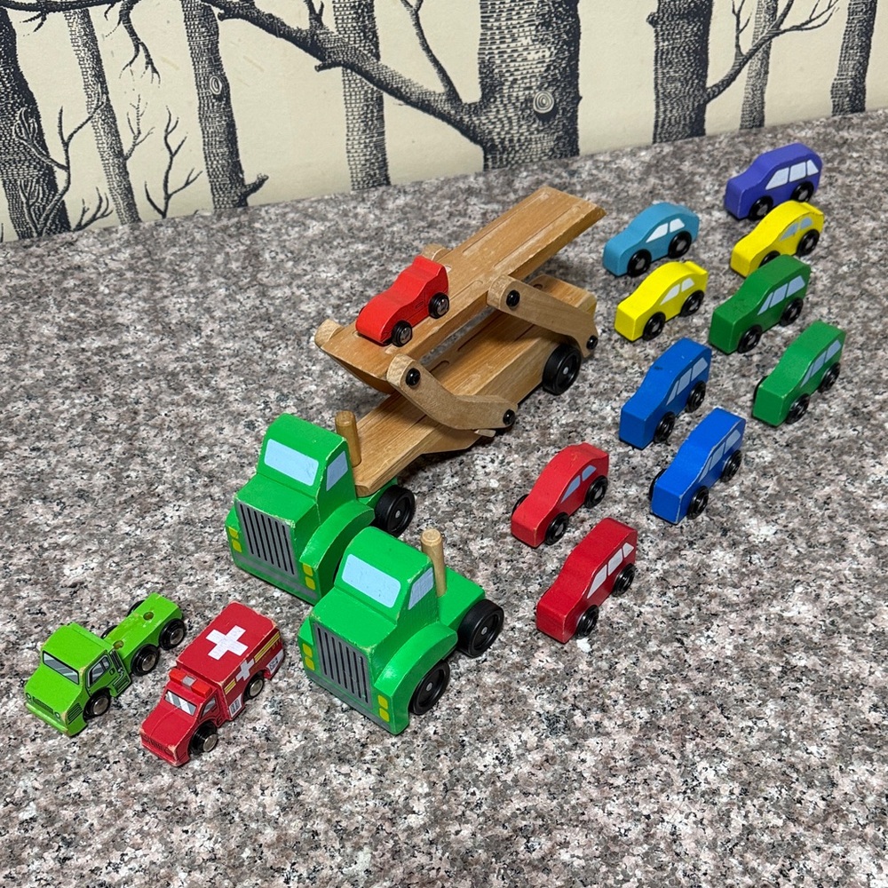 Colorful Wooden Toy Car Set
